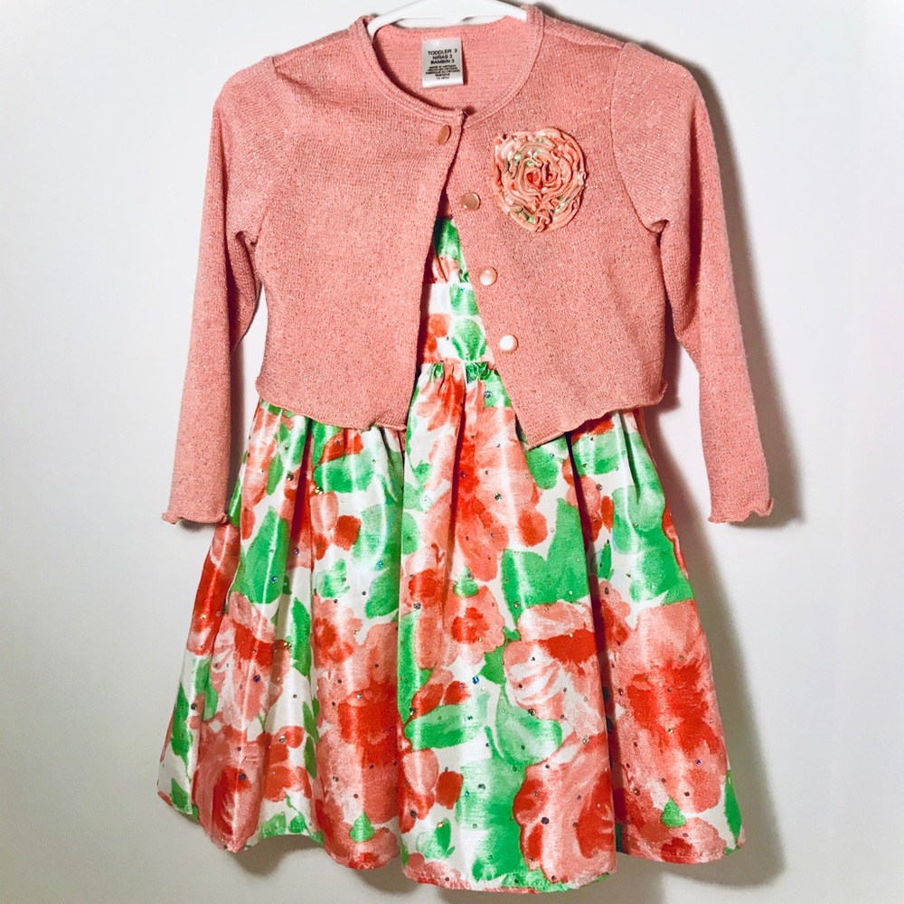 Clementine Floral Social Dress Size 3T